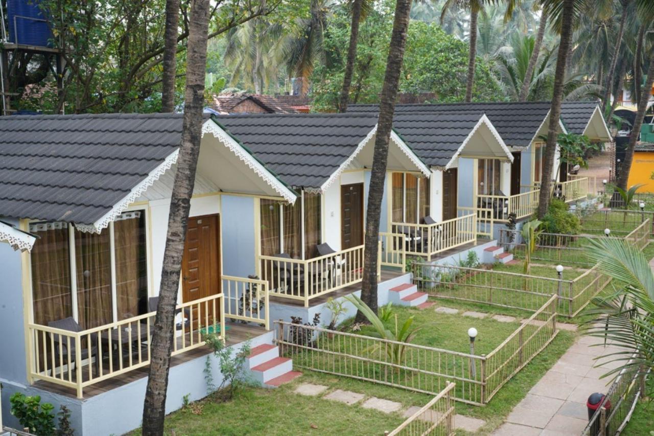 Resort Molly's Nest Mandrem