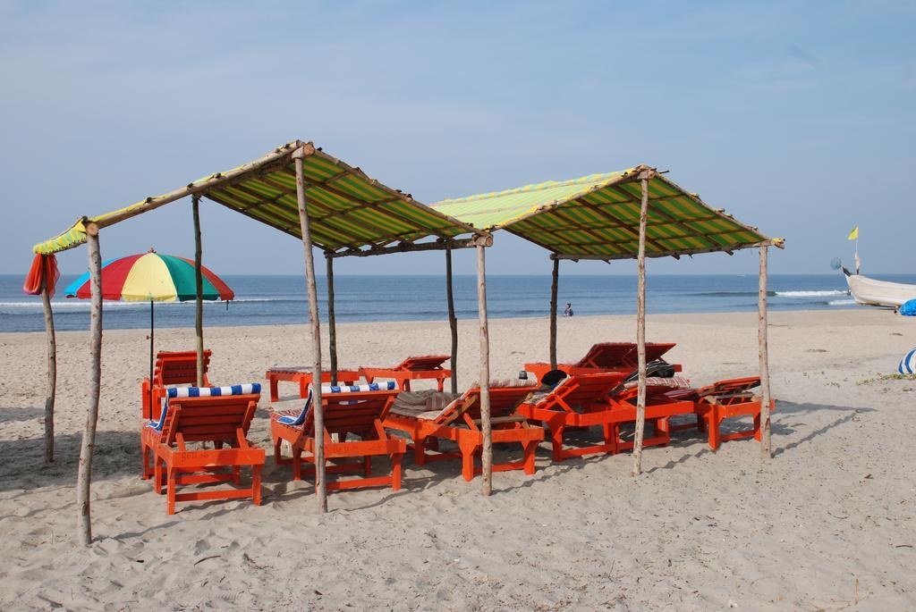 Molly's Nest Resort