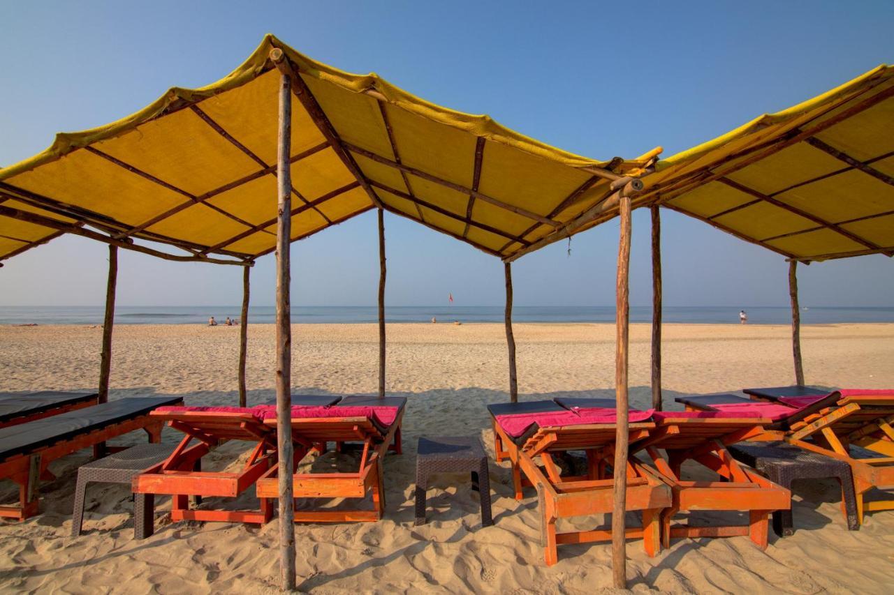 Molly's Nest Resort 3*