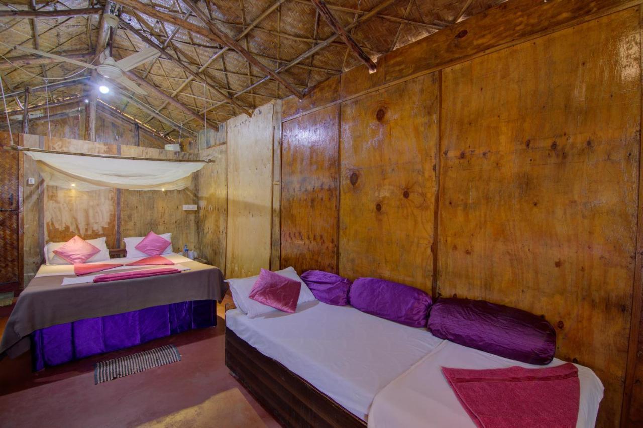 Molly's Nest 3*