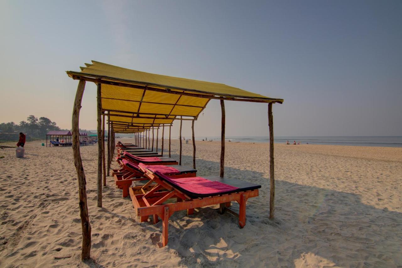 Molly's Nest Resort 3*