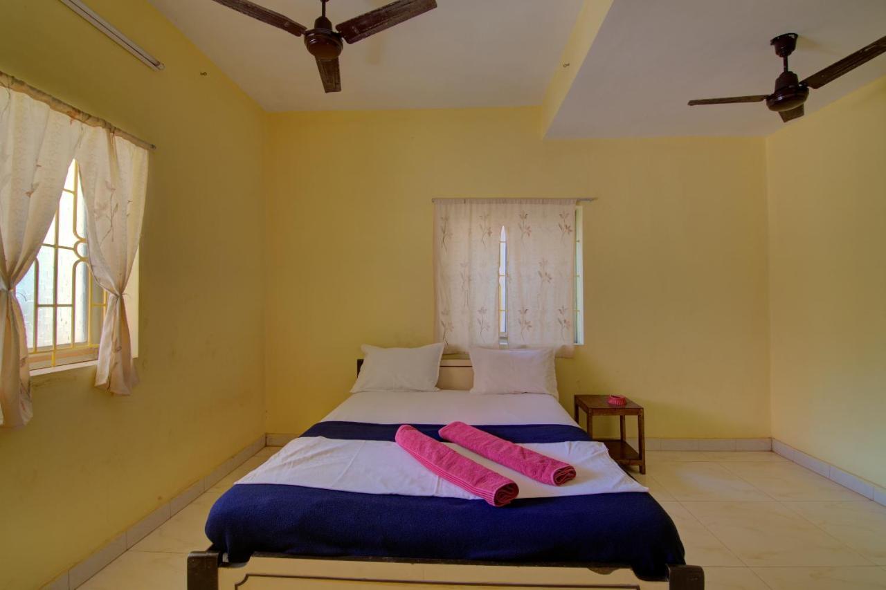 Molly's Nest Resort