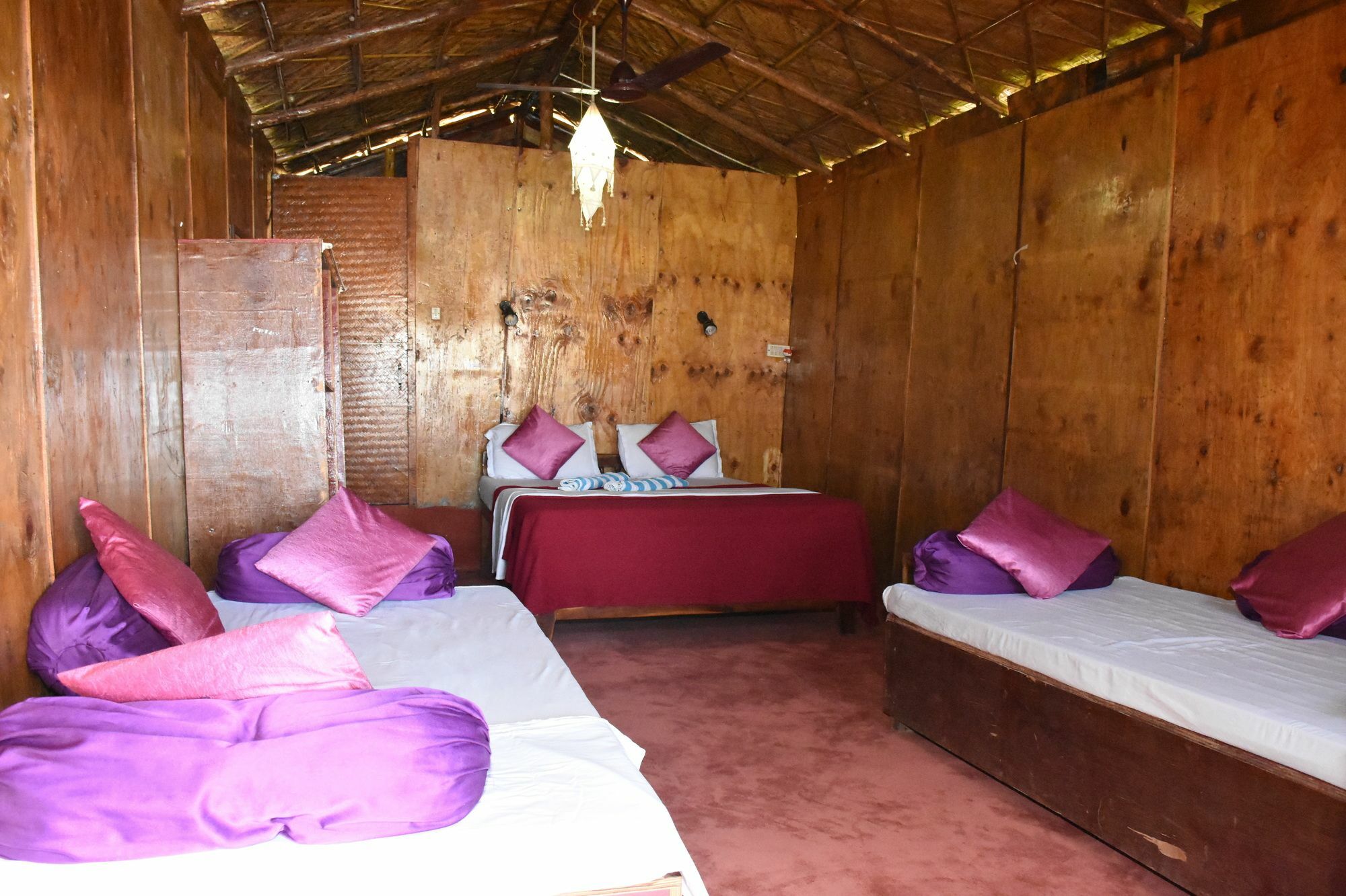 Resort Molly's Nest 3*